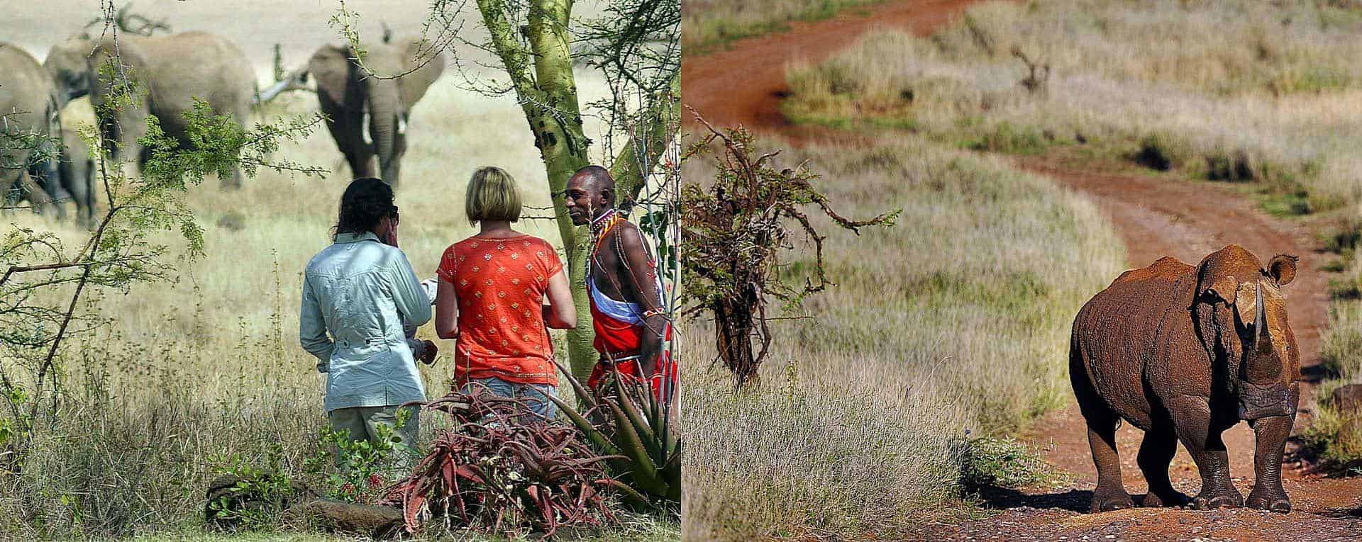 Laikipia national conservancy